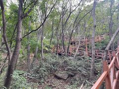 -大岭沟猕猴桃谷风景区