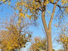 -济南国际园博园