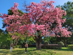 -荔香公园