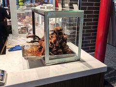 -老四川(T3航站楼F指廊店)