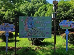 -合肥野生动物园