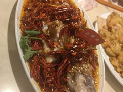 -杨氏青龙虾·羊蝎子(珠江路店)