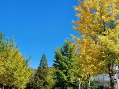 -洛阳白云山景区