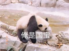 -广州长隆野生动物世界