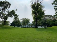 -顺峰山公园