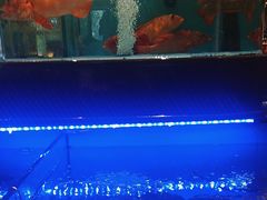 -阿伟海鲜楼·福建菜(延寿店)