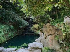 -十八棵（老龙井）御茶园(老龙井店)