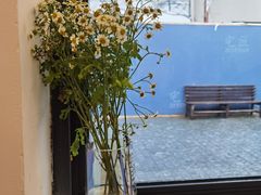 -Bamboo Today Cafe(国创园店)
