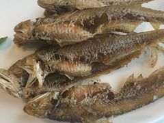 -上海会馆(香港名都店)