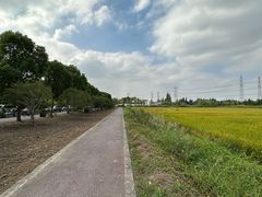 -广富林郊野公园