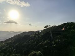 -亚龙湾热带天堂森林公园