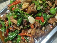 -华光美食城(阜成路店)