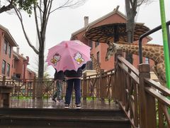-灵玲国际马戏城
