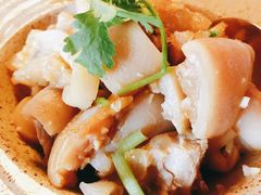 -三号黄浦会Canton Table