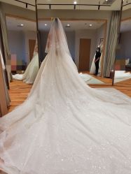 -南京宝娜嫁衣婚纱礼服馆(中央路店)
