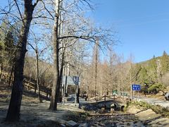 -白水寺森林公园