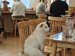 -柴の食堂·日式家庭料理·熊之肆(大学路店)