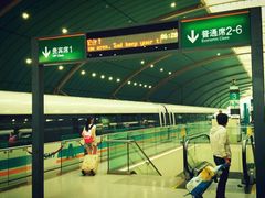 android_upload_pic-浦东1号2号航站楼(地铁站)