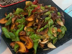 -蘑统田下·野生菌火锅
