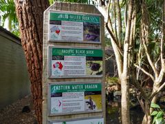 -费瑟代尔野生动物园