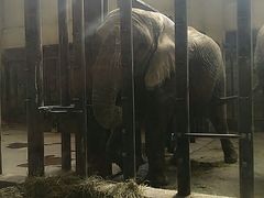 -石家庄市动物园