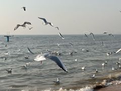 -老虎石海上公园