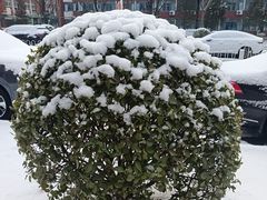 -南粥北面(东大桥店)