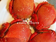 -TABLE·味西餐厅-成都茂业JW万豪酒店