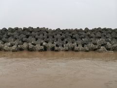 -南汇嘴观海公园