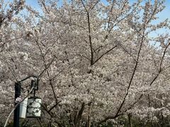 -英孚教育青少儿(高新公园茂中心)