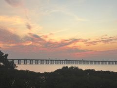 -宝安西湾红树林湿地公园