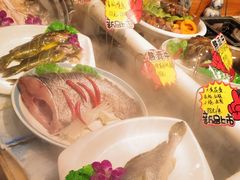 -邵年鸽(杨庄店)