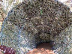 -北海金海湾红树林生态旅游区