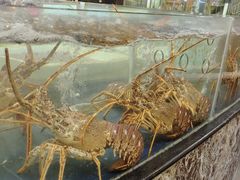 -五月花海鲜城