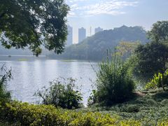 -重庆彩云湖湿地公园
