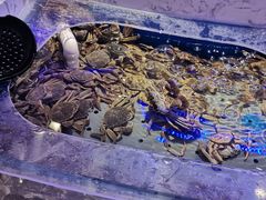 大闸蟹-澜悦港海鲜体验主题餐厅