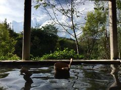-和顺柏联温泉