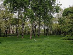 -玲珑塔公园
