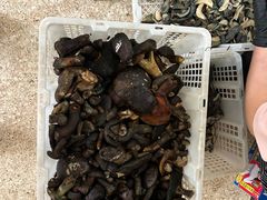 -江川野生菌火锅铜锅鱼(贵清火锅店)