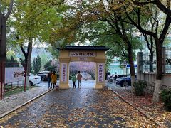 -山东师范大学(千佛山校区)