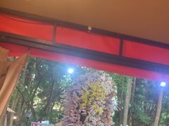 -二荆条·蜀鲜汇城市森林火锅
