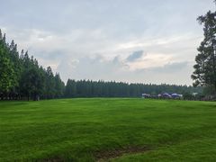 -黄海国家森林公园