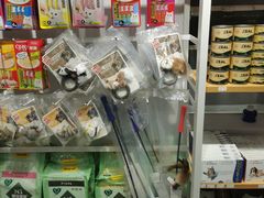-爱洗澡的猫(天河路店)