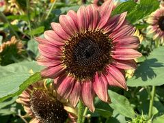 -奥林匹克森林公园北园-停车场