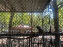 -长白岛森林公园