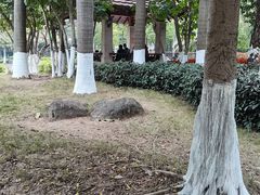 -同德公园