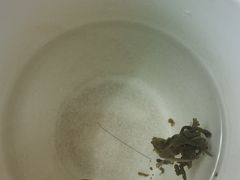 -正兴德(和平路店)