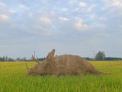 -嘉北郊野公园