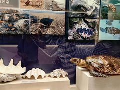 -上海中国航海博物馆