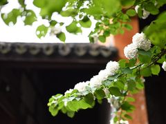 -天台山国清景区(国清寺)